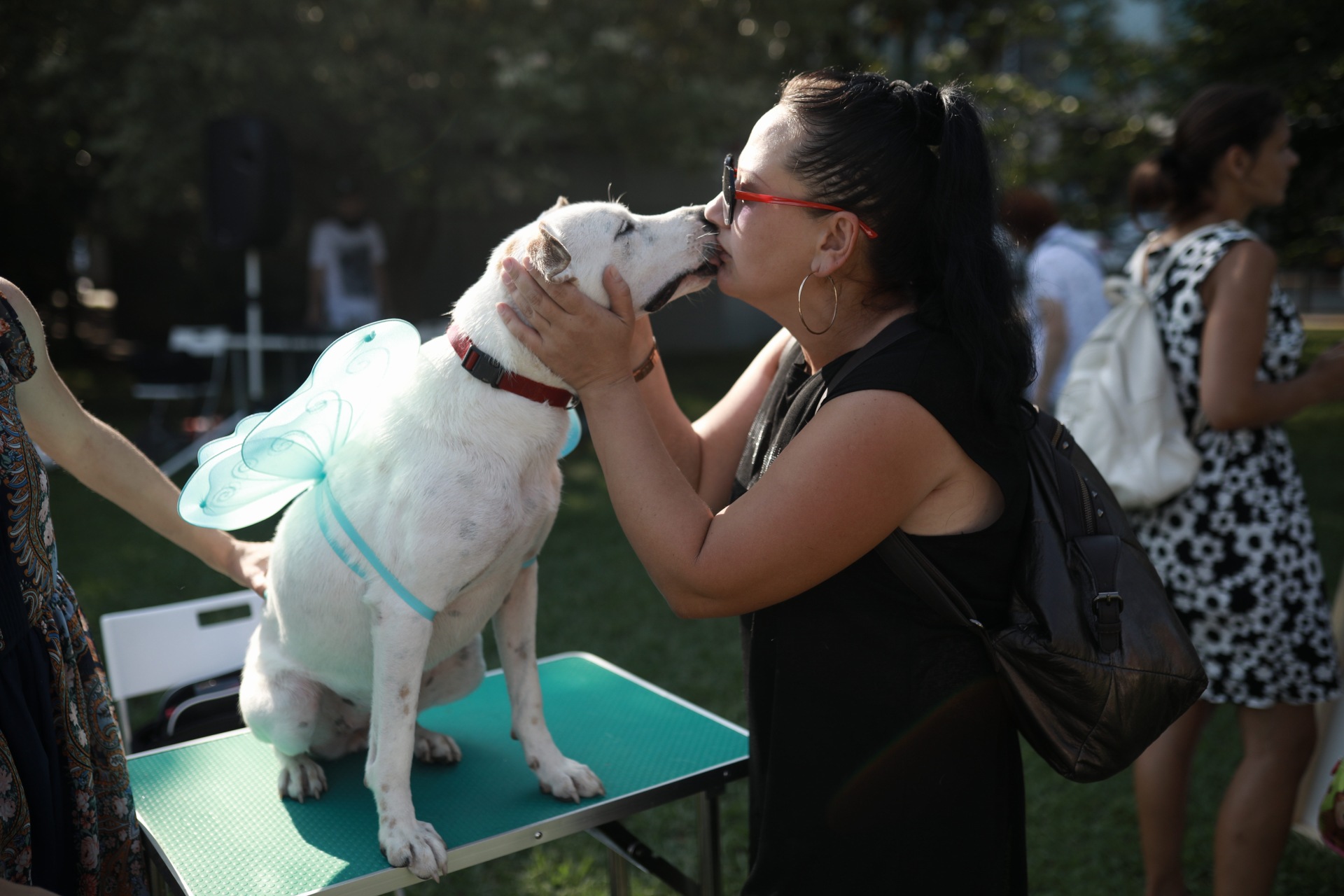 Приют для собак «Поводог» организовал в Сочи праздник для бывших подопечных